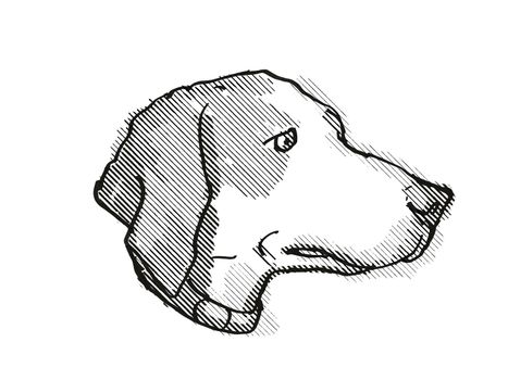 Retro cartoon style drawing of head of a Harrier Dog, a domestic canine breed on isolated white background done in black and white.
