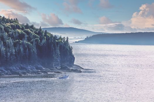 Beautiful foggy early morning coast near Bar Harbor, Maine