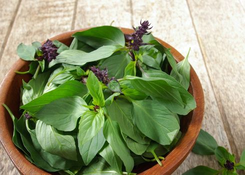 basil leaf in wooden bowl on table