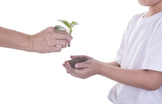 Woman delivers a tree with a boy on a white background.