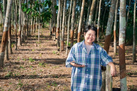 Asian woman smart farmer agriculturist happy at a rubber tree plantation with Rubber tree in row natural latex is a agriculture harvesting natural rubber in white milk color for industry in Thailand