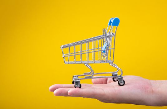 Buying things at market shops concept. hand with tiny shopping cart.