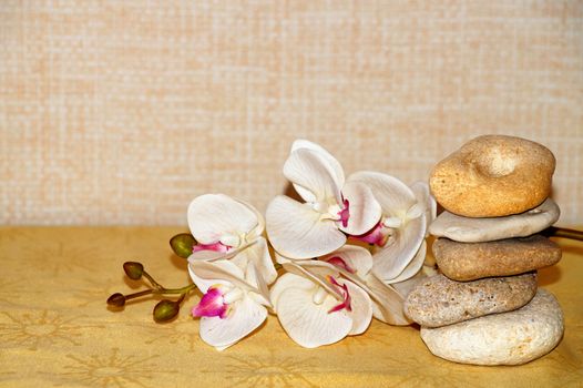 white orchid flower and natural stone pyramid, relaxing zen background