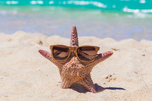 Starfish in sunglasses on beautiful sandy beach tropical summer vacation