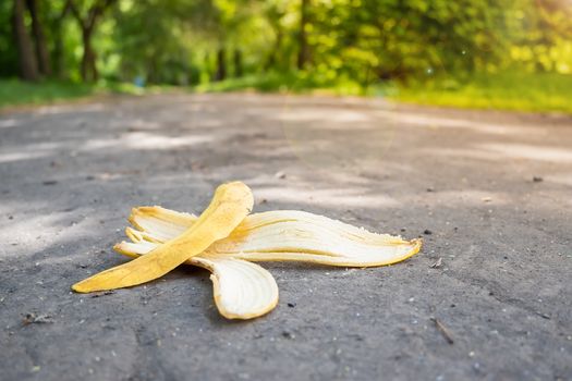 a banana peel lies on a footpath against the backdrop of a city Park
