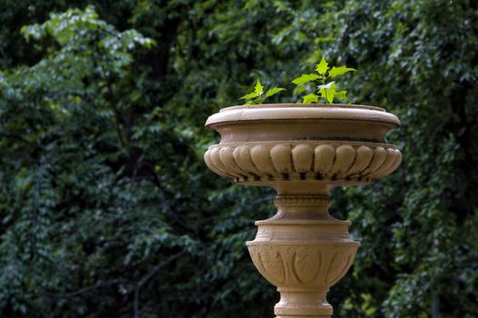 Yellow garden vase on a green background.