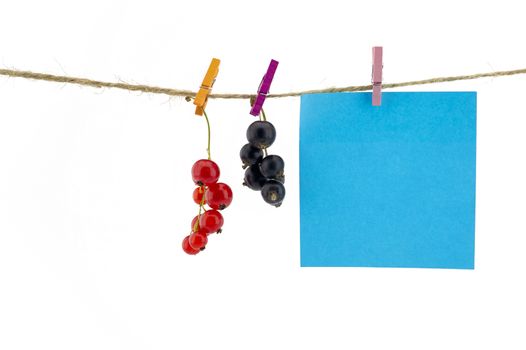Fresh fruit and and blank sticky note hanging from clothes pegs on a rope with a red and black currants isolated on white with copyspace