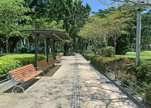 The outdoor wooden bench, footpath, green plant decoration, plant and tree in the park