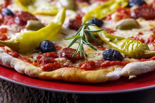 fresh pizza with rosemary