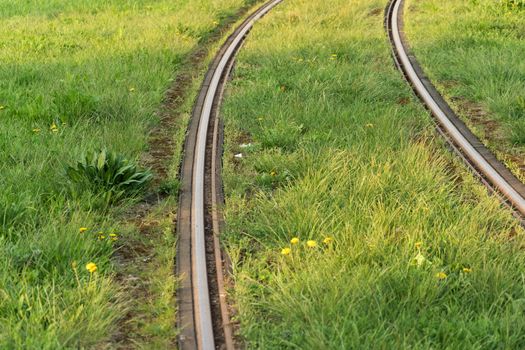 Train rails. Public transportation track covered by lawn. Modern electric vehicle path photography. Classic tram steel way.  Industrial urban transport infrastructure. Curve surface of tramway railway