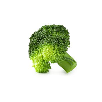 Fresh broccoli blocks for cooking isolated on white background.