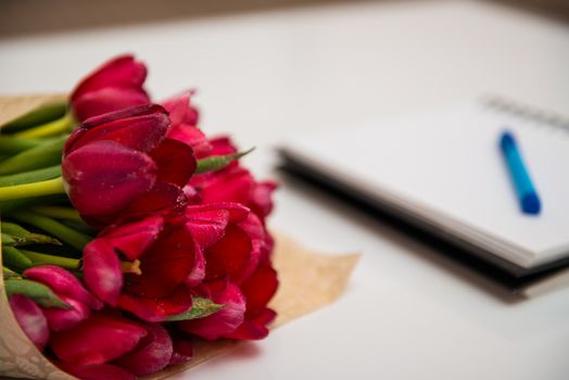 Flat lay top view of red tulips isolated on white for one side with empty place for text