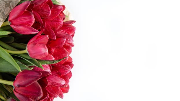 Flat lay top view of red tulips isolated on white for one side with empty place for text