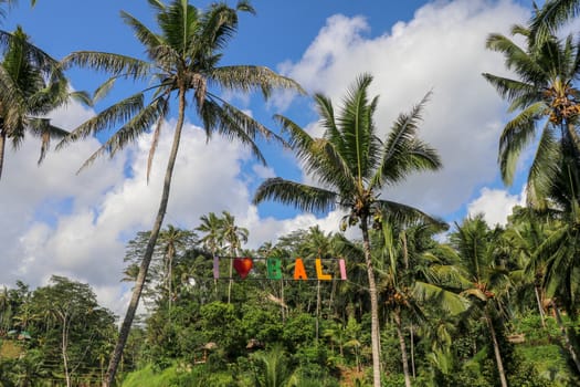 Colorful sign Love near rice fields terraces in the background. Island Bali, Indonesia. Tegallalang, Ubud, Bali. Sign from Colorful letters in the crowns of coconut palms.