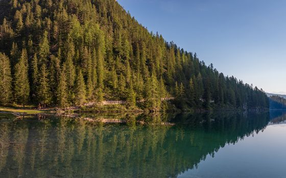 The warm morning light illuminates the numerous green pines that are reflected in the water of the Braies lake, Italian landscape in South Tyrol