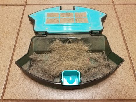 grey dog or pet hair and dirt in robotic vacuum cleaner