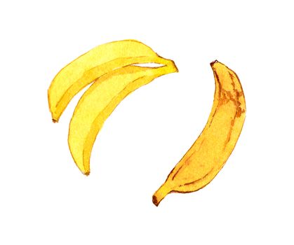 a set of ripe bananas. One of tropical fruits. Watercolor style illustration on a white background. Painting for decoration in menu, cover book, textbook for small children.