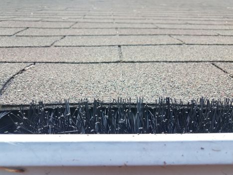 black pipe cleaner in cleaned gutter with roof shingles on house