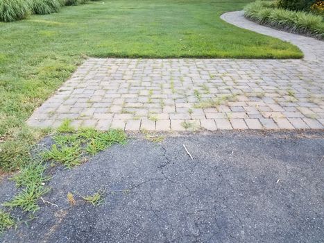 asphalt or pavement and stone path or trail with weeds and grasses and cracks