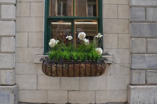green plants with white flowers in window box on stone building