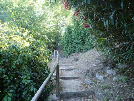 stone steps or stairs on trail or path with railing and trees