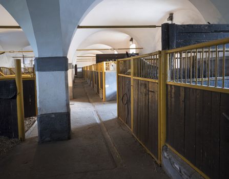 old horse stable stall block with white Kladruber horse Equus bohemicus in histori.cal baroque farm Benice