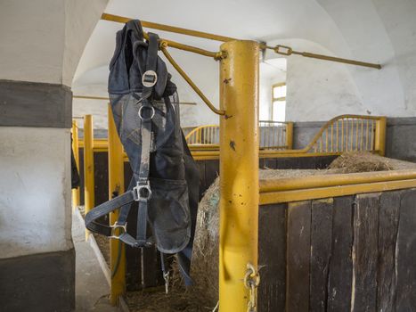 black horse halter headstall hanging from empty stable stall in historical farm