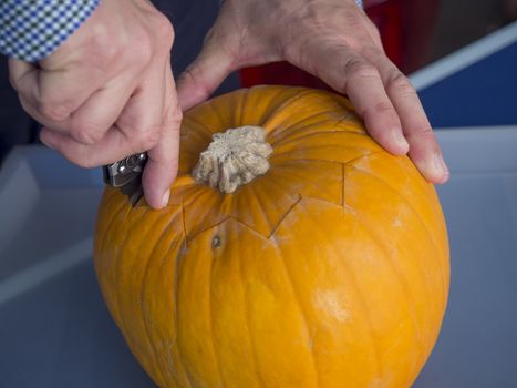 Process of carving pumpkin to make Jack-o-lantern. Creating traditional decoration for Halloween and Thanksgiving. Cutted orange pumpkin lay on table in man hands