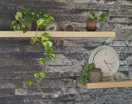 living room wall with shelves pot plants clock and decorations