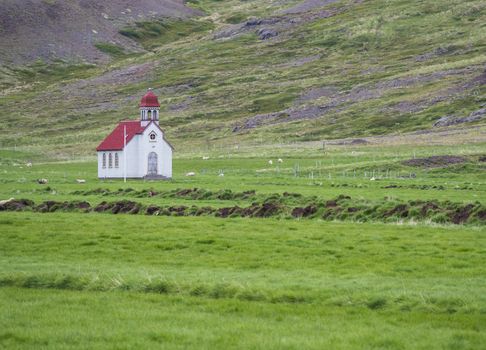 Old small white red roof church on green grass meadow, sheep and hills, south island
