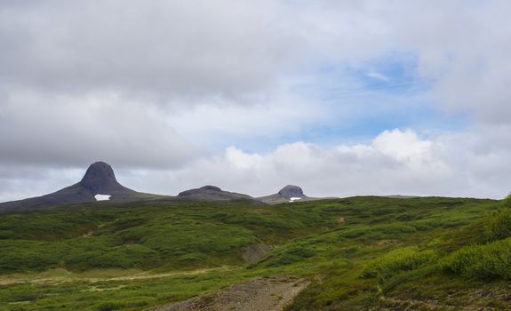 Hat shape mountains with snow capes, green hills and grass meadow, blue sky white clouds, Iceland summer