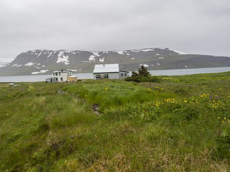 View on abandoned village Heysteri in Iceland West fjords in remote nature reserve Hornstrandir, small white houses with lush green grass, fjords, ocean bay snow coverd hills and moody gray sky
