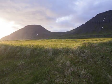 View on beautiful snow covered cliffs mountain and hills in Fljotavik cove, Hornstrandir, west fjords, Iceland, with green grass meadow, golden hour light, blue sky background