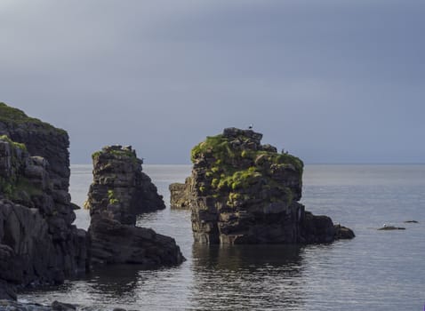 big bird cliff rocks in atlantic ocean with seagulls and grass, sea and blue sky backgound, golden hour light, summer in nature reserve in Hornstrandir , westfjords, Iceland, copy space