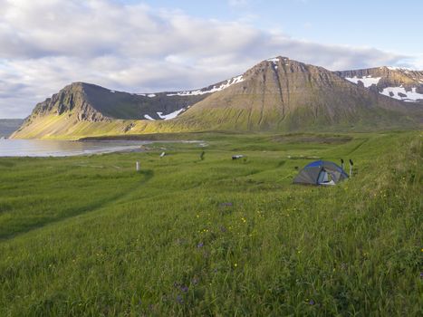 Alone small tent standing at Hloduvik cove campsite with green grass meadow, Skalarkambur mountain, wooden logs and footpath, blue sky white clouds background, Hornstrandir, west fjords, Iceland