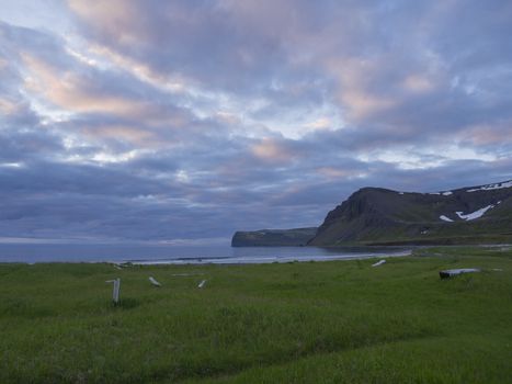 Northern wild summer midnight sun landscape, View on beautiful cliffs in Hloduvik cove in west fjords nature reserve Hornstrandir in Iceland, with green meadow, sea shore beach, wood logs and sunset sky, pink blue clouds background