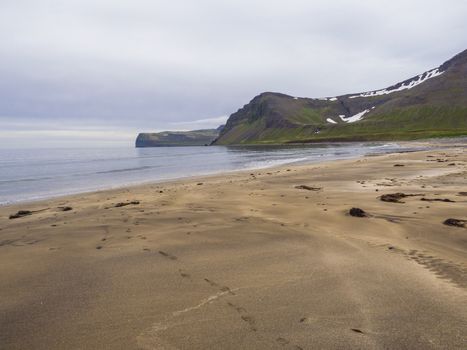 beautiful golden sand bech with view on snow covered cliffs and mountains, Hloduvik cove in Hornstrandir, west fjords, Iceland, green meadow, blue sky background
