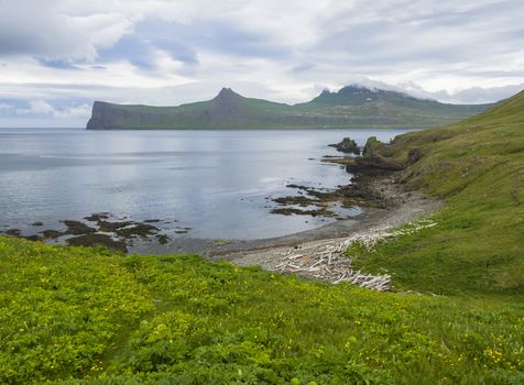 Scenic view on beautiful Hornbjarg cliffs in west fjords, remote nature reserve Hornstrandir in Iceland, with lush green grass meadow, yellow flowers, rocky pebble coast with wooden logs, sea and blue sky clouds