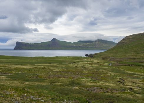 Scenic view on beautiful Hornbjarg cliffs in west fjords, remote nature reserve Hornstrandir in Iceland, with green meadow, flowers, water stream and hills, blue sea and cloudy sky background