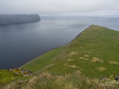 Scenic view on edge of the cliff from top of steep king and queen Hornbjarg cliffs in west fjords, remote nature reserve Hornstrandir in Iceland, with lush green grass, fjords, ocean and moody sky