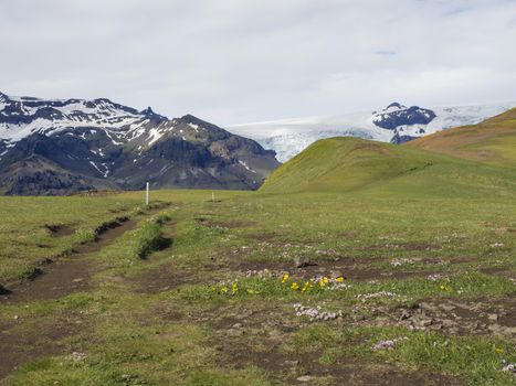 green grass footpath and hill with view on glacier Skaftafellsjokull, Vatnajokull spur in Skaftafell Park, South Iceland