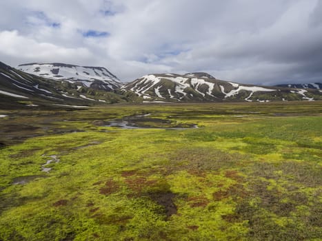 summer landscape with colorful green and orange moss meadow with hot springs and snow covered rhyolit mountains in geothermal area near road f210 in Iceland nature reserve Fjallabaki