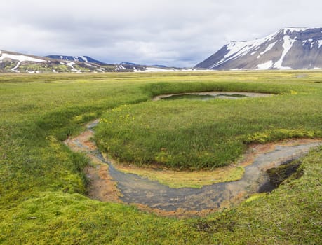 summer landscape with colorful green and orange moss meadow with hot springs and snow covered rhyolit mountains in geothermal area near road f210 in Iceland nature reserve Fjallabaki.