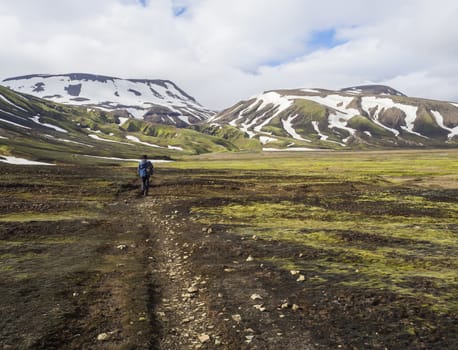 lonely man hiker walking on footpath, green grass meadow and snow capped rhyollite mountains in Iceland nature reserve Fjallabaki