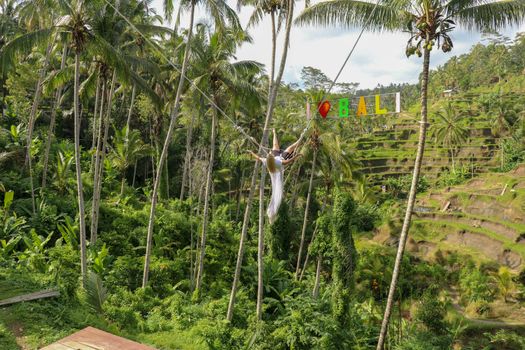 A young girl sways on a swing over a high canyon. Young tourist woman swinging on a cliff in the jungle rainforest of tropical Tegalalang, Bali. Swing suspended between two coconut trees. I love Bali.