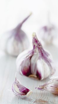 Garlic bulb with garlic cloves on white wooden background. Perfect garlic with copy space for text or design. Vertical. Shallow DOF