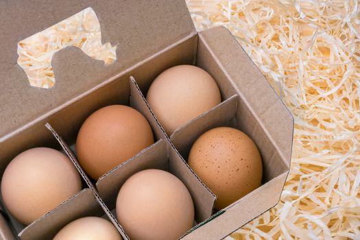 Egg box full. Chicken egg in carton box with hen cut out. Free grazing of hens. Farm animal product. Cardboard box with brown eggs. Organic egg in box. Packing. Animal products in a cardboard package