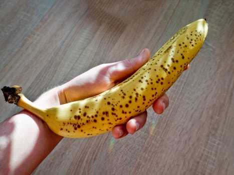 A ripe banana in the hand with wooden background.