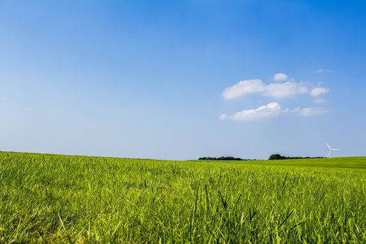 Blue sky, green grass, dike landscape in the north of Germany.