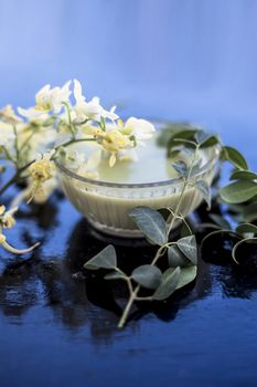 Ayurevidic Paste made from Moringa concanensis Nimmo also known as Kadvo Saragvo, Konkan Moringa in a glass bowl on wooden surface.